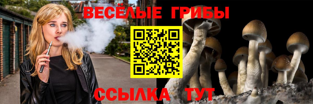 где можно купить   Псилоцибиновые грибы Psilocybe  Вход с VPN  Вышний Волочёк 