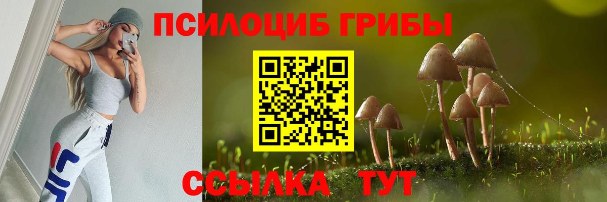 Галлюциногенные грибы прущие грибы Вышний Волочёк